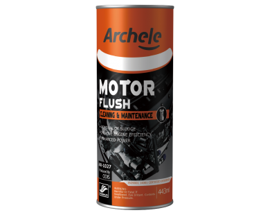 MOTOR FLUSH